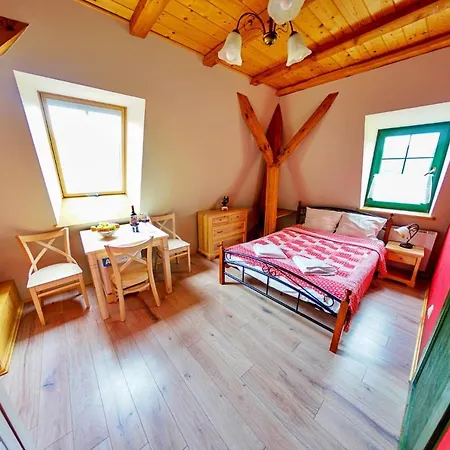 Mlyn Wielislaw I Restauracja Sedziszowa