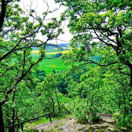 Mlyn Wielislaw I Restauracja *