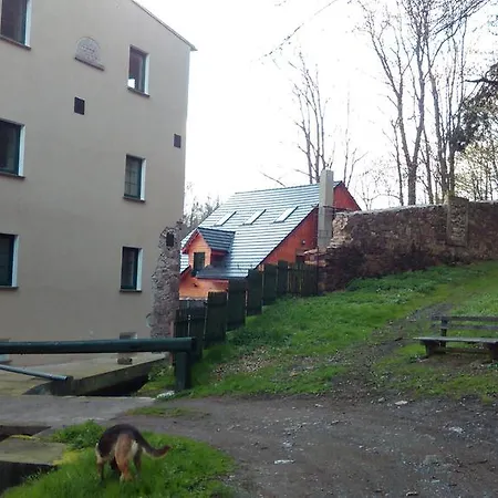 Gospodarstwo agroturystyczne Młyn Wielisław I Restauracja