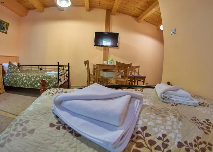 Mlyn Wielislaw I Restauracja * Sedziszowa