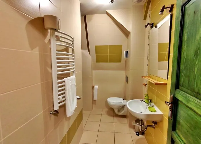 Mlyn Wielislaw I Restauracja Sedziszowa