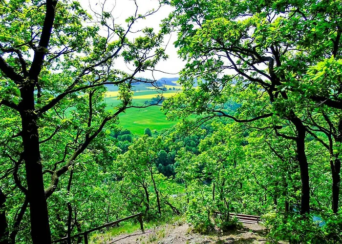 Mlyn Wielislaw I Restauracja *